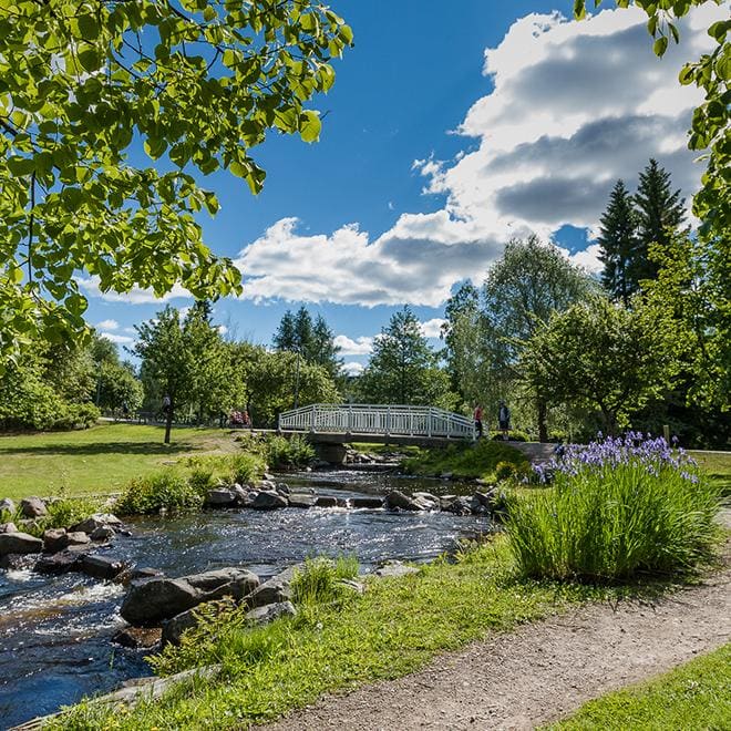 Lohiportaat kulkevat aivan Lasaretin takapihalla. Kesäisen vehreä puisto kukkaloistoineen sijaitsee vieressä.